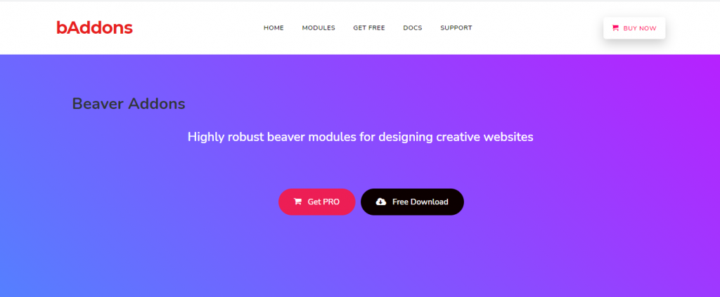 wordpress plugin, baddons, beaver builder, beaver addons, beaver builder addons, creative website ideas,  beaver builder widgets,  beaver builder features, team, blog, pricing table,