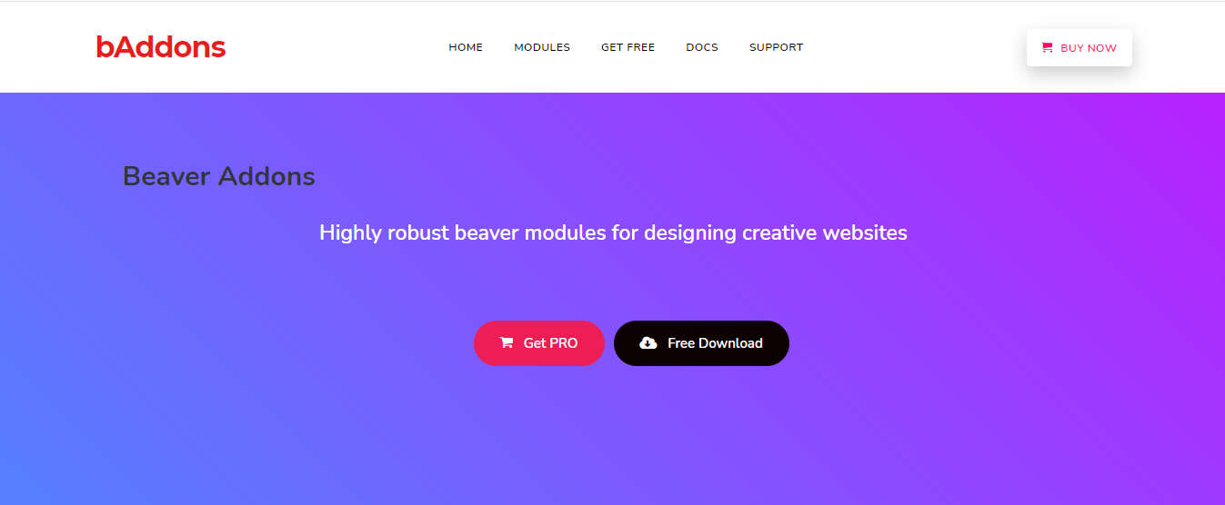 wordpress plugin, baddons, beaver builder, beaver addons, beaver builder addons, creative website ideas,  beaver builder widgets,  beaver builder features, team, blog, pricing table,