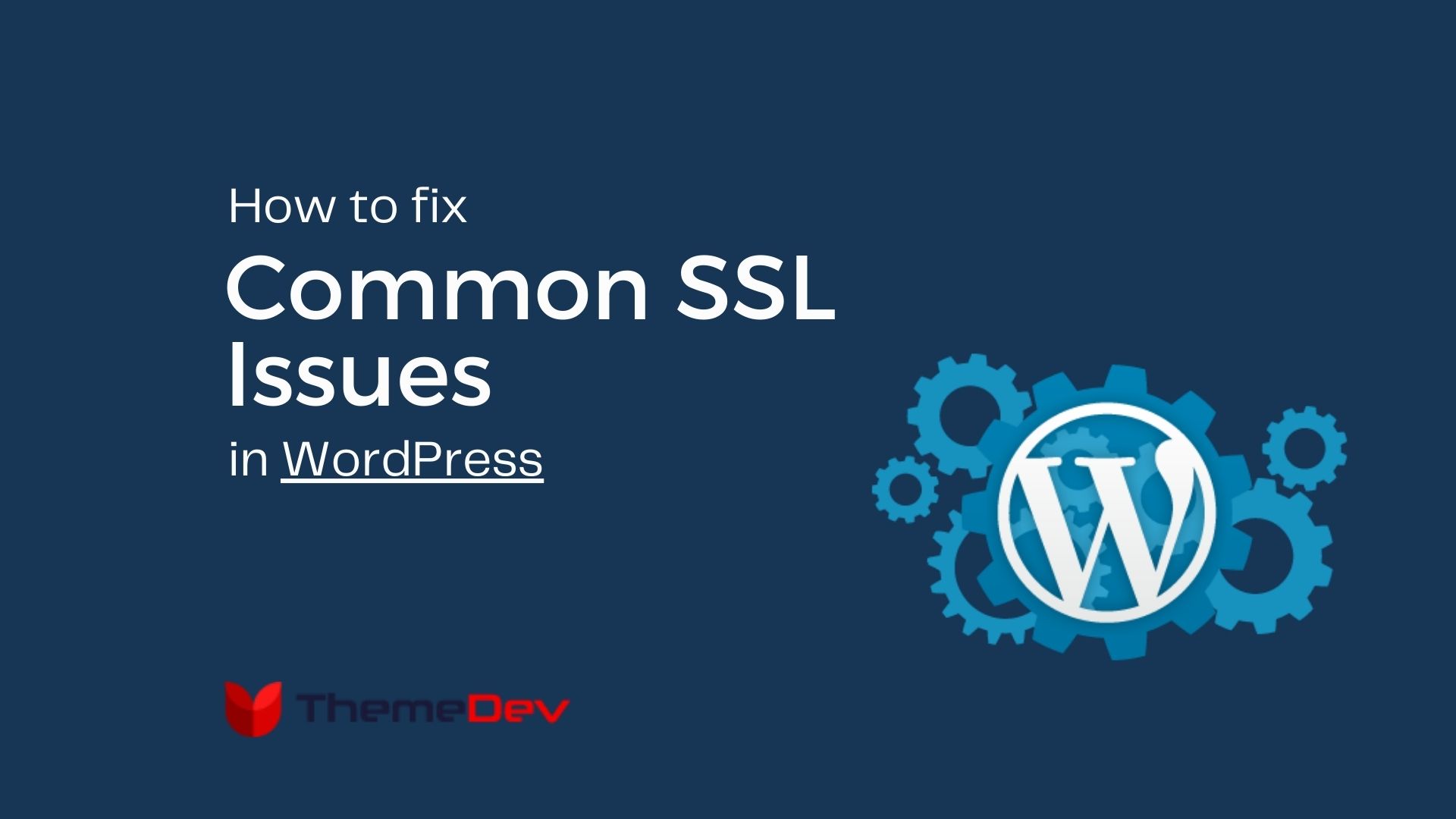 Step by Step Guide to Fix Common SSL Issues in WordPress